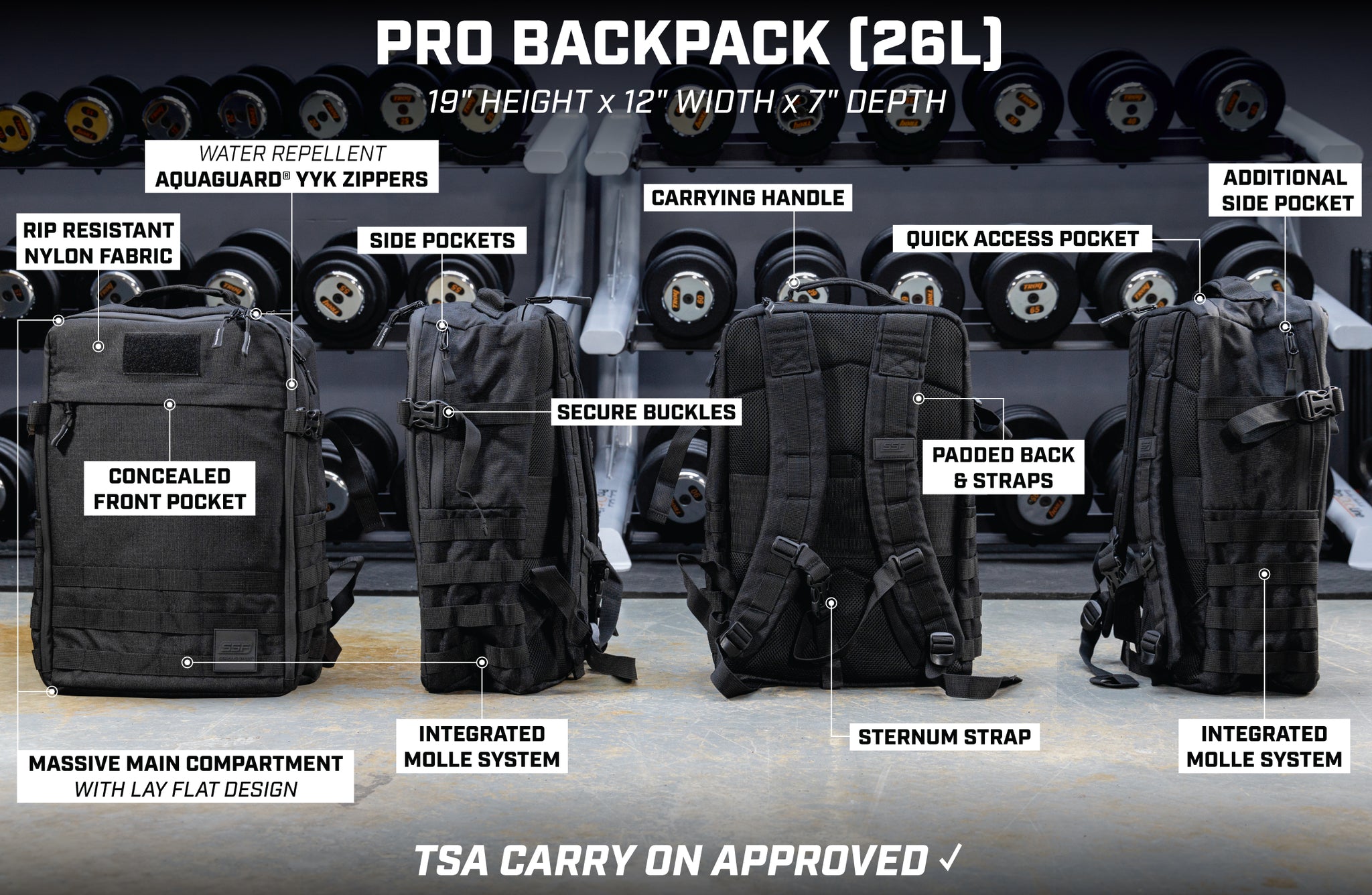 PRO Mini Divider Backpack (26L) – Serious Steel Fitness