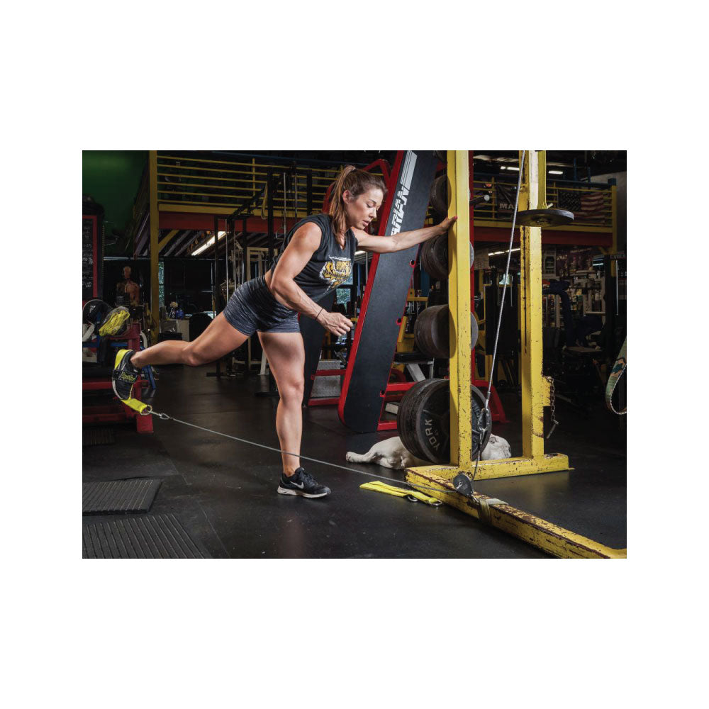 Spud Econo Low Pulley System – Serious Steel Fitness